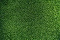 Lush Green Grass Blades Close Up Texture Royalty Free Stock Photo