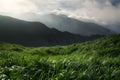 Lush green grass covered mountains meadow Royalty Free Stock Photo