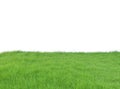Lush Green Grass field isolated on white background, clipping pa Royalty Free Stock Photo