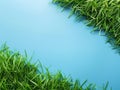 Lush Green Grass Framing Blue Sky Background, Perfect for Nature and Outdoor Themes, Lawn and Garden Concepts, and Environmental