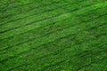 Lush Green Grass Growing on Lawn Yard with Lines from Mowing Royalty Free Stock Photo