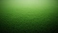 Lush green grass lawn background with fresh vegetation Royalty Free Stock Photo