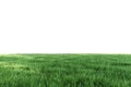 Lush green grass lawn fresh nature isolated on white background with clipping path 3d render
