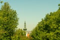 Lush green grass lawn landscaped with foliage rich trees casting shadows on ground with tower in distance Royalty Free Stock Photo