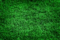 Lush Green Grass Lawn Soft Velvety Royalty Free Stock Photo