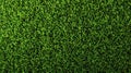 Lush green grass seamless texture background. Royalty Free Stock Photo