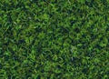 Lush green grass texture backgrounds Royalty Free Stock Photo