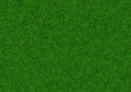 Lush green grass texture Royalty Free Stock Photo