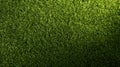 Lush Green Grass Texture Overhead View Background image Royalty Free Stock Photo