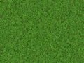 Lush green grass texture. wallpapers pattern Royalty Free Stock Photo