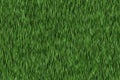 Lush green grass texture. wallpapers pattern Royalty Free Stock Photo