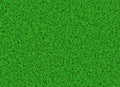 Lush green grass texture. wallpapers pattern Royalty Free Stock Photo