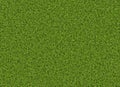 Lush green grass texture. wallpapers pattern Royalty Free Stock Photo