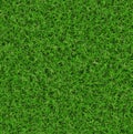 Lush green grass texture. wallpapers pattern Royalty Free Stock Photo