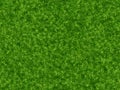 Lush green grass texture. wallpapers pattern Royalty Free Stock Photo