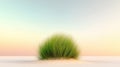 Lush green grass tuft on sand with soft pastel sky at dawn horizon Royalty Free Stock Photo