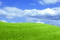 Lush green grass under bright blue sky with fluffy clouds Royalty Free Stock Photo