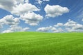 Lush green grass under bright blue sky with fluffy clouds Royalty Free Stock Photo