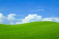 Lush green grass under bright blue sky with fluffy clouds Royalty Free Stock Photo