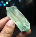 Lush Green hiddenite Var Spodumene Kunzite Crystal Royalty Free Stock Photo