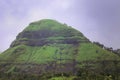 Lush green hillock against a blue sky