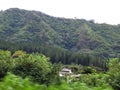 Lush Green Hills of Honolulu