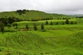 Lush green hills and valleys along Forgotten World Highway in New Zealand Royalty Free Stock Photo