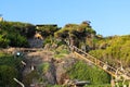 A lush green hillside at the beach with beachfront homes at the top and a long wooden staircase Royalty Free Stock Photo