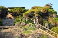 A lush green hillside at the beach with beachfront homes at the top and a long wooden staircase Royalty Free Stock Photo