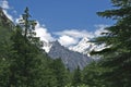 Lush green himalayan forest and snow peaked valley India