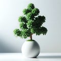 Bushy green jade plant in white pot on table and isolated on white background