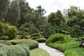 Japanese zen garden with bonsai and path Royalty Free Stock Photo