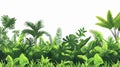 Lush Green Jungle Plants Composition Isolated Vector Royalty Free Stock Photo