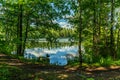 Lush green lakeside view from a sunny summer Sweden Royalty Free Stock Photo