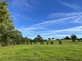 Lush green landscape near, Gisburn, Lancashire, UK