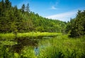 Lush green landscape in Sleeping Giant Provincial Park