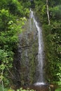 Lush & green landscape with Teharuru waterfall, tahiti, French Polynesia, South Pacific