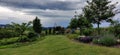 a lush green lawn with trees, bushes and flowers along it