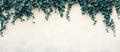 Lush green leaves border a white wall, creating a backdrop with ample space for text and natural design accents Royalty Free Stock Photo