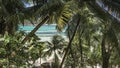 Through the lush green leaves of palm trees and sloping trunks, you can see the turquoise ocean Royalty Free Stock Photo