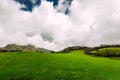 Lush green meadow under beautiful sky. Green meadow under the blue skies. Beauty nature background. Cattle pasture. The beautiful Royalty Free Stock Photo