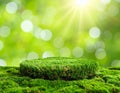 Lush Green Moss Covered Surface with Bokeh Effect and Sunlight in Natural Background Royalty Free Stock Photo