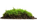 Lush Green Moss Growing on Soil Royalty Free Stock Photo