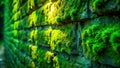Lush green moss thriving on a stone brick wall texture. Generative AI Royalty Free Stock Photo