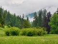 Misty Morning on Transylvanian Mountain, Romania