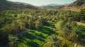 A lush green oasis in the middle of a dry desert made possible by a solarpowered irrigation system bringing water to the