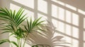 Lush green palm leaves casting intricate shadows on a warm wall Royalty Free Stock Photo