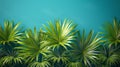 Lush green palm leaves