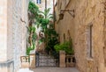 Lush green plants surrounded by limestone walls