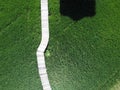 A lush green rice field with bamboo bridge stretches across the rice fields